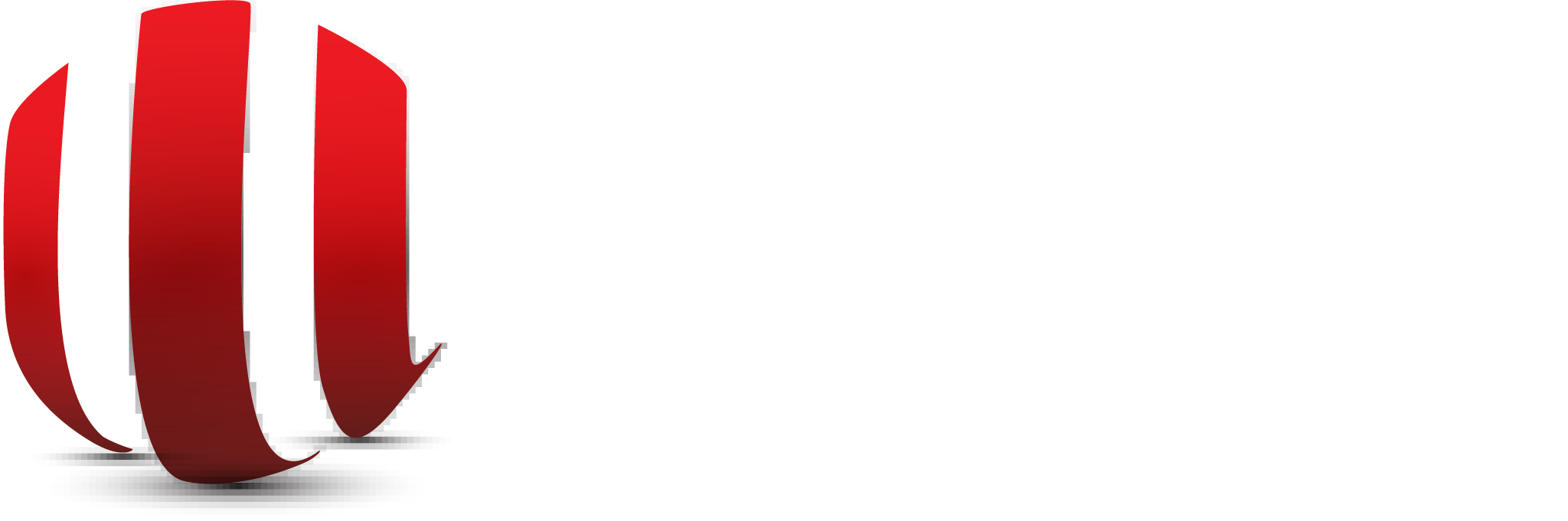 Hamsa - IT outsourcing company